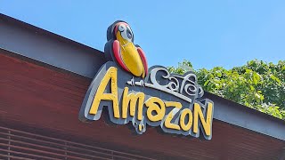 Day 3 - The Amazon Cafe