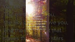 Download Mp3 You are Not Alone, Ever Gudang lagu Download Mp3 You are Not Alone, Ever