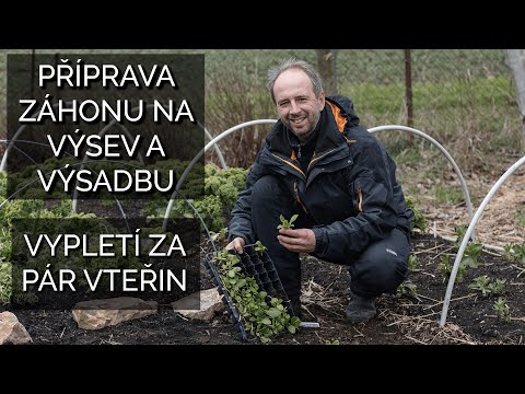 Video: Jak Se Správně Připravit Na Výsadbu A Výsadbu Jabloní A Hrušek - 2