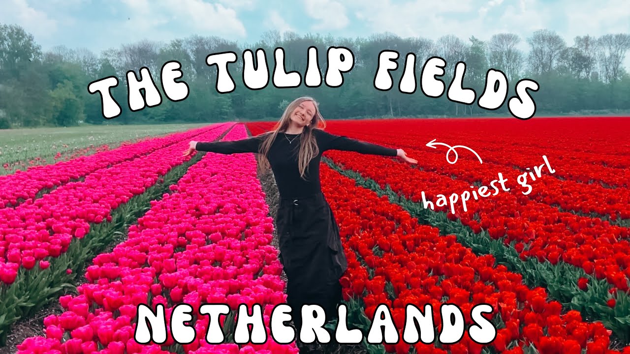 TULIPS EVERYWHERE🌷 a tulip field vlog - Netherlands