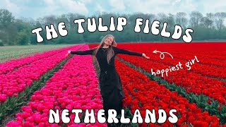 Tulips Everywhere A Tulip Field Vlog - Netherlands