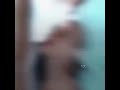 سكر محلي