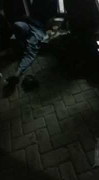 story' wa equality atau anarki