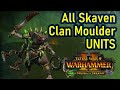All New Skaven Clan Moulder Units - The Twisted And The Twilight - Total War Warhammer 2