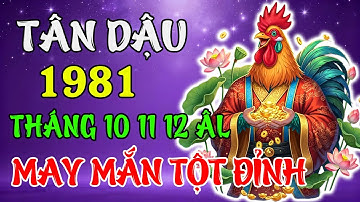 Tử Vi Tháng 10 – 11 – 12 Âm 2025 Tuổi Tân Dậu 1981 | Cát Khí Lan Xa, May Mắn Tới Cửa