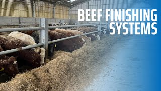 Beef Finishing Systems