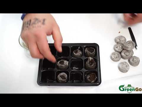 ტორფის ტაბლეტი / peat tablets