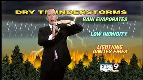 Why does lightning strike trees?