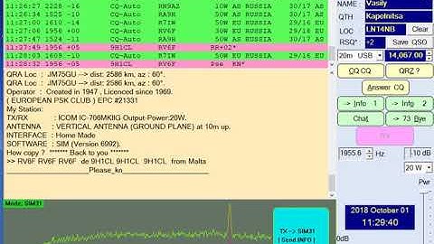 SIM31 QSO