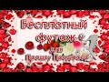 Футаж с днем рождения женщине для Прошоу Продюсер