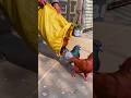 Live Pigeon Catching Scene 😲🐦 #shorts #pigeon #trending
