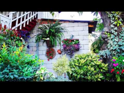 ჩემი ბაღი - ფრიდონ კიკილაშვილი . MY GARDEN - FRIDON KIKILASHVILI