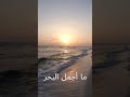 دقو الشماسي
