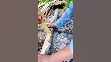 In the process of harvesting bark, good tools can increase efficiency