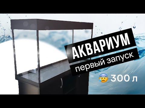 Видео: Первый запуск аквариума 300 литров