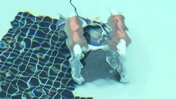 Sanger NJROTC: Sea Perch Program (2012-2013)