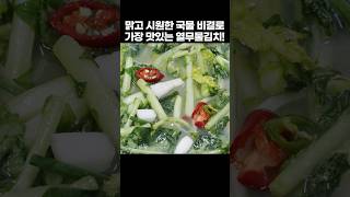 3대째 내려온 열무물김치 맛있게 담는법! &#39;이렇게&#39; 담으면 시원함 감칠맛 폭발! 열무물김치 황금레시피