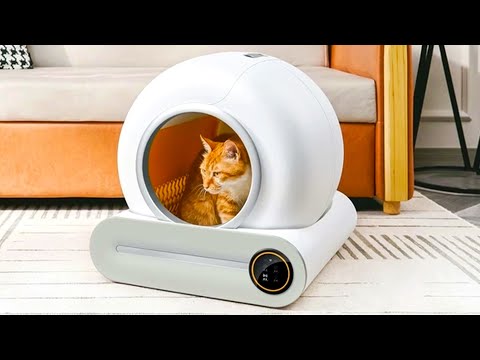 Video: Labākais automātiskais kaķu pakaišu kaste: Cat Box Spinner Review un vairāk