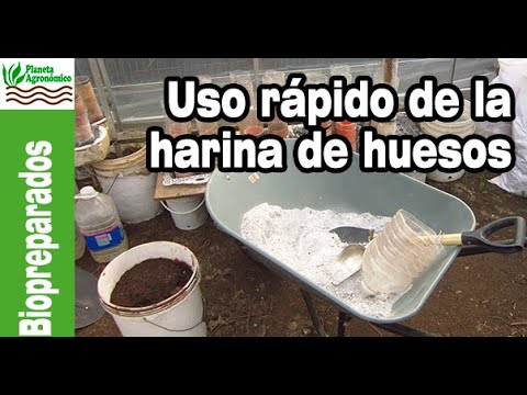 Video: Harina De Huesos Como Fertilizante: Aplicación Para Plantas En El Jardín. ¿Para Qué Sirven Los Fertilizantes Orgánicos De Harina De Huesos En El País?