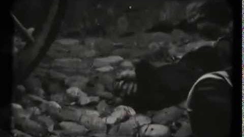 TeHÔM - Aposbennuntes Tous Luchnous