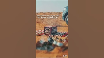 Surah Ahzab [33:56] |  سورة الأحزاب | With Thafsir