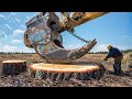 Amazing dangerous biggest stump removal excavator in action powerful stump removal grinding machine