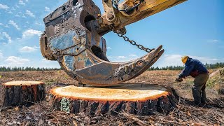 Amazing Dangerous Biggest Stump Removal Excavator in Action, Powerful Stump Removal Grinding Machine by Otiss Machines 254,121 views 3 weeks ago 44 minutes