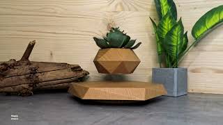 Levitating plant, flower pot, anti-stress, calming, relaxation video