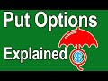 Put Options Explained - Using Put Options to Protect Our Investments