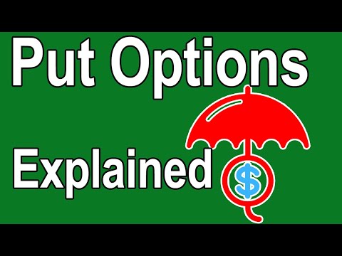 Put Options Explained - Using Put Options to Protect Our Investments thumbnail