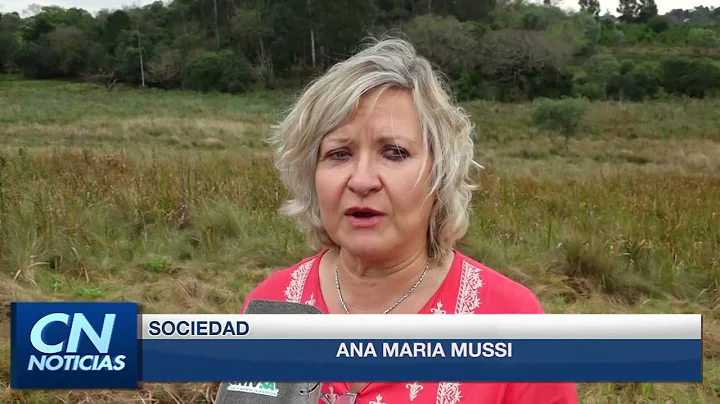 ANA MARIA MUSSI