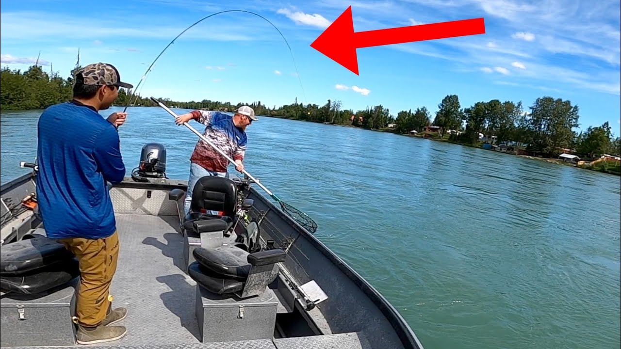 Fly FIshing The Most Popular River In ALASKA for Giant Trout! (KENAI RIVER)