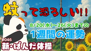 水曜日の朝はやっぱり #ぱんだ体操　046