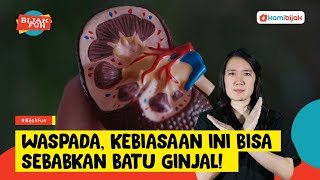 ALAMI! Atasi Batu Ginjal, Susah Buang Air Kecil Hingga Turunkan Tekanan Darah | Ayo Hidup Sehat