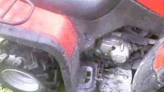 Baja wilderness 250cc/ yamaha beartracker