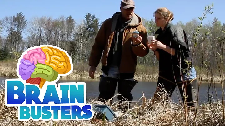 Serious Science: Biological Carrying Capacity