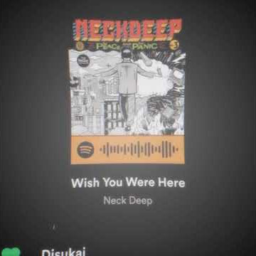 Wish You Where Here NECKDEEP 30 detik viral tiktok