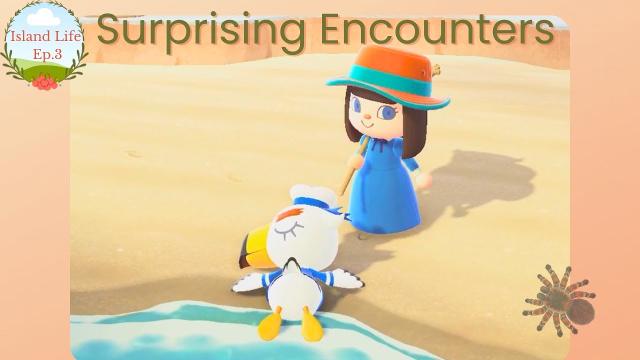 New House, New Tools, & New Encounters - Animal Crossing New Horizons Cozy Let's Play Ep 3