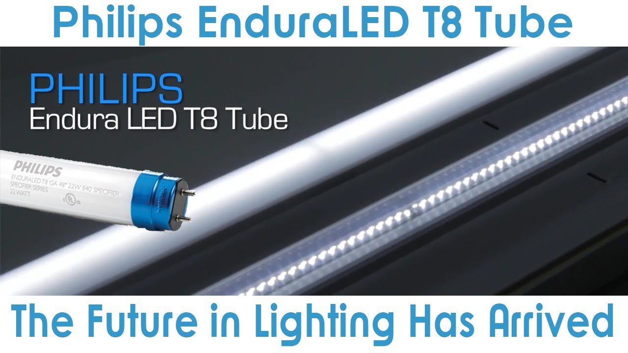 Goodmart Philips EnduraLED T8 Lamp is an excellent LED