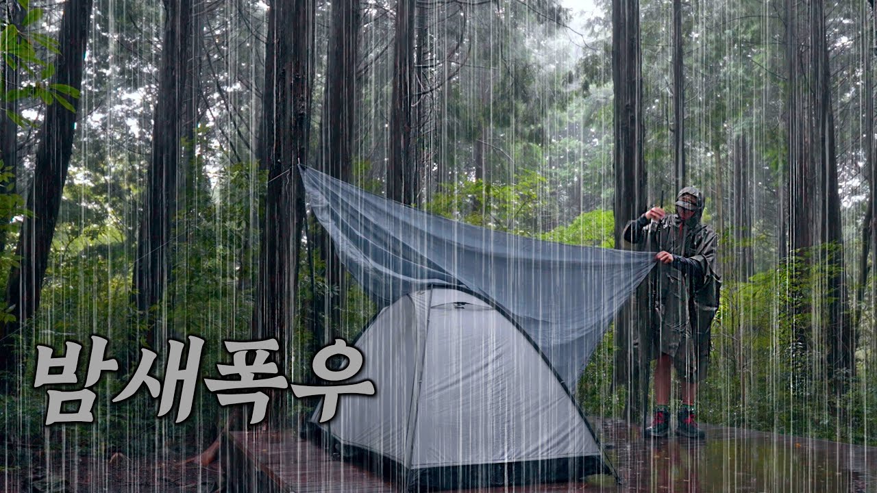 밤새 폭우내리는 숲속 야영장에서 1박2일 우중캠핑