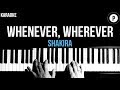 Shakira - Whenever, Wherever Karaoke SLOWER Acoustic Piano Instrumental Cover Lyrics