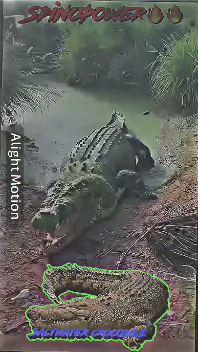 Saltwater crocodile vs green anaconda #edit #shorts #animals #reptiles