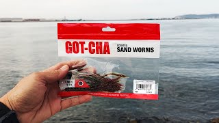 WalMart Sandworms!  San Diego Bay Fishing