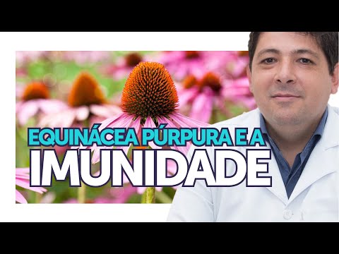 Vídeo: Echinacea Purpurea - Propriedades Medicinais, Benefícios, Contra-indicações