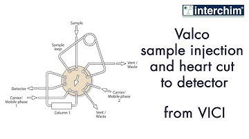 VICI – Valco sample injection and heart cut to detector