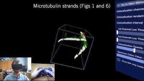 Improved region of interest selection and colocalization analysis in three-dimensional fluorescence