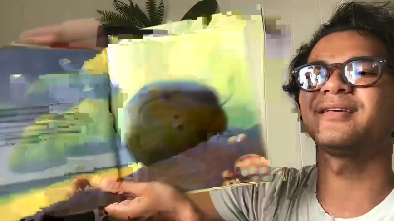 A Coconut Named Bob YouTube