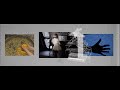 Superpoze - A Ballet Of Life And Death (Official Video)