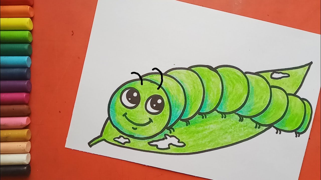 Cartoon Caterpillar Drawing  How To Draw A Cartoon Caterpillar Step By  Step