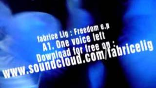 one_voice_left.avi